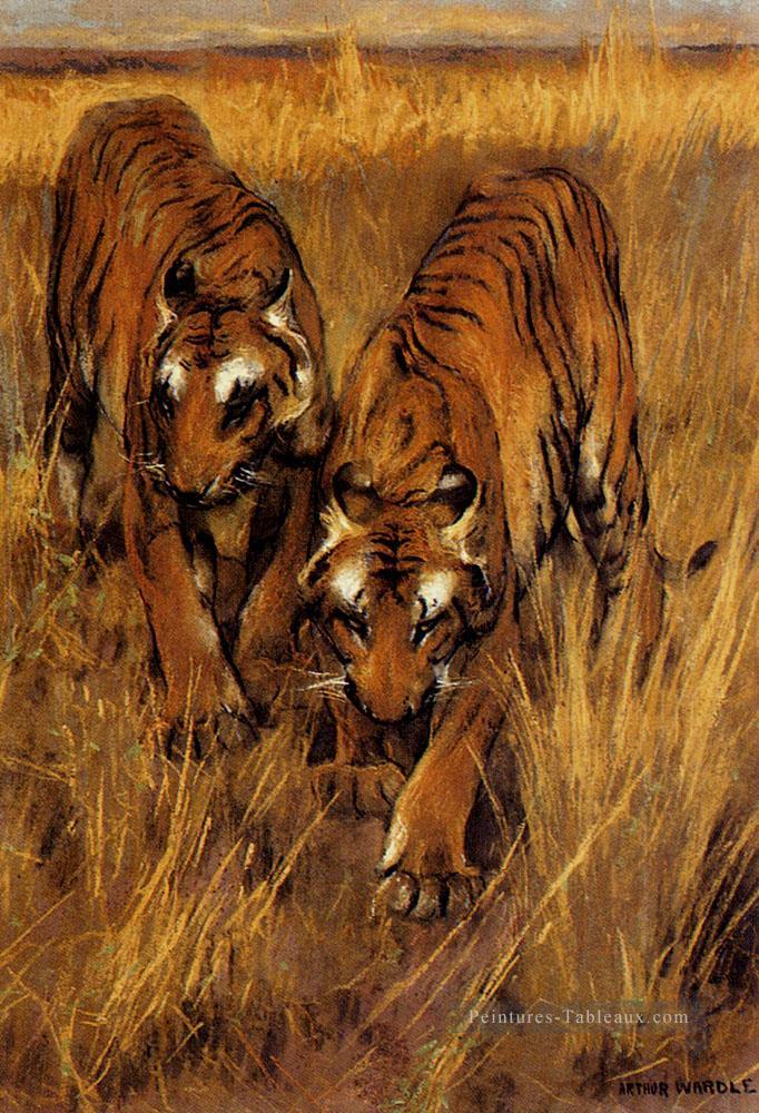 Tigres 2 Arthur Wardle Peintures à l'huile
